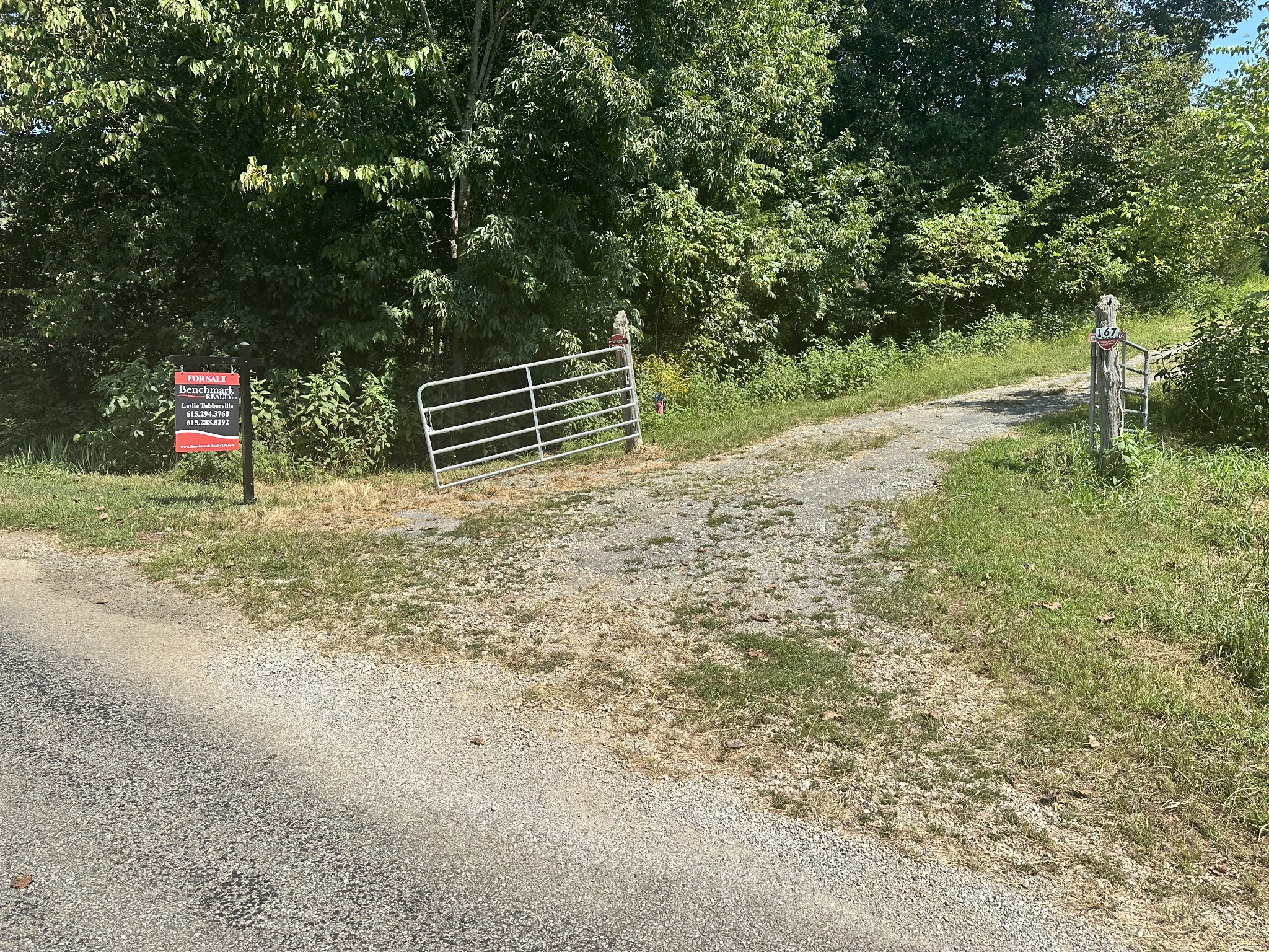167 Green Hill Road Pleasant Shade, TN 37145 - Photo 12 of 43 a backyard of a house with trees and plants