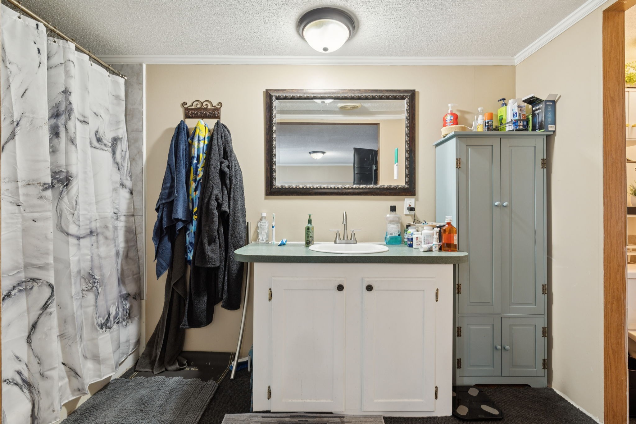 167 Green Hill Road Pleasant Shade, TN 37145 - Photo 24 of 43 a bathroom with a sink and a mirror