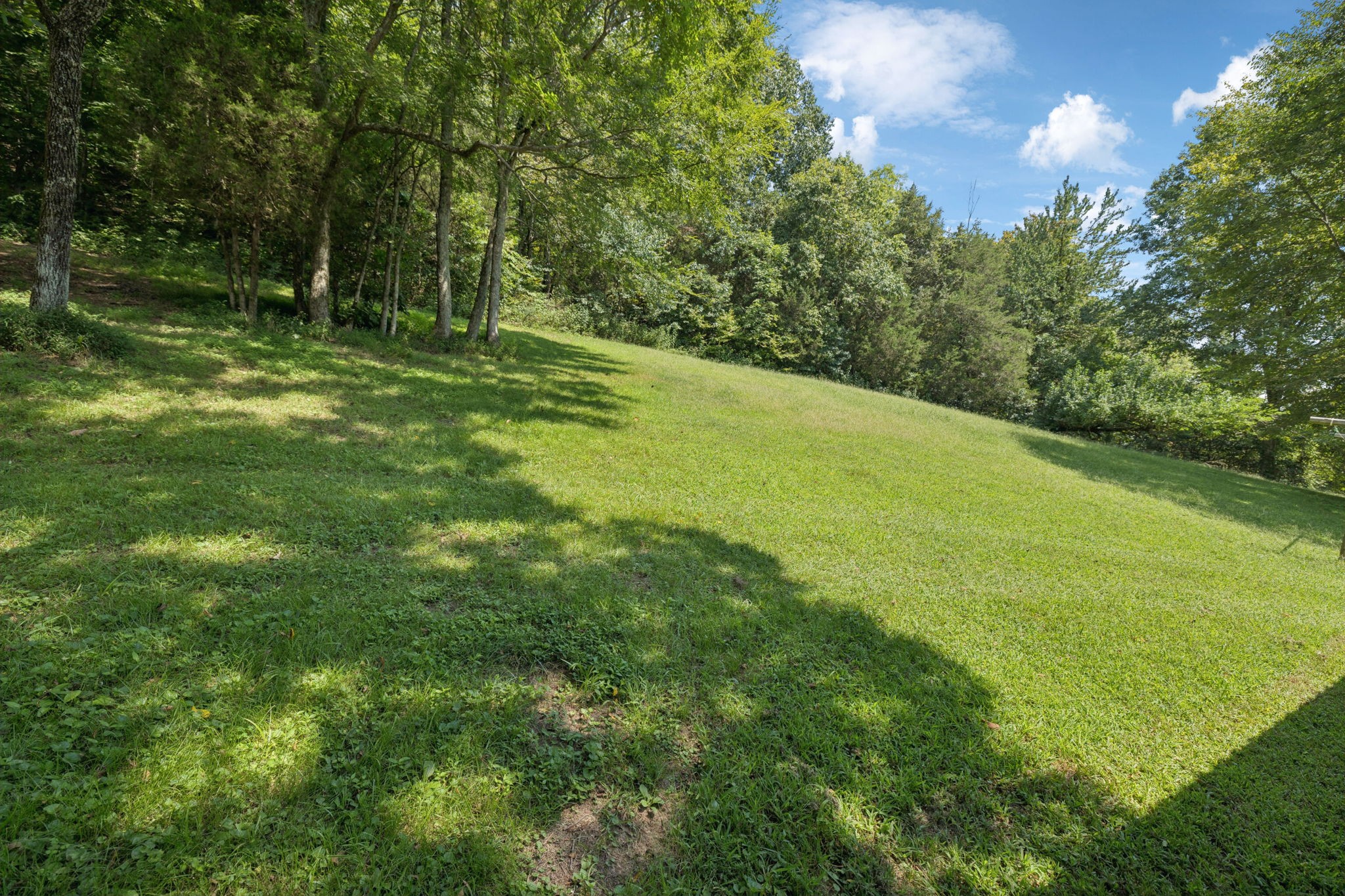 167 Green Hill Road Pleasant Shade, TN 37145 - Photo 31 of 43 a view of a trees with a yard