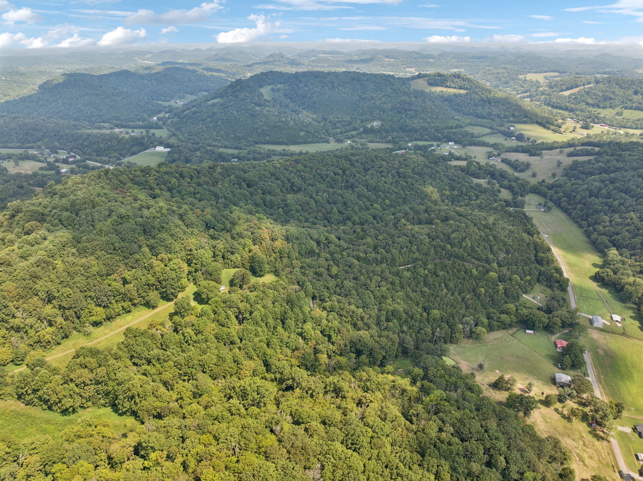 167 Green Hill Road Pleasant Shade, TN 37145 - Photo 34 of 43 a view of a yard