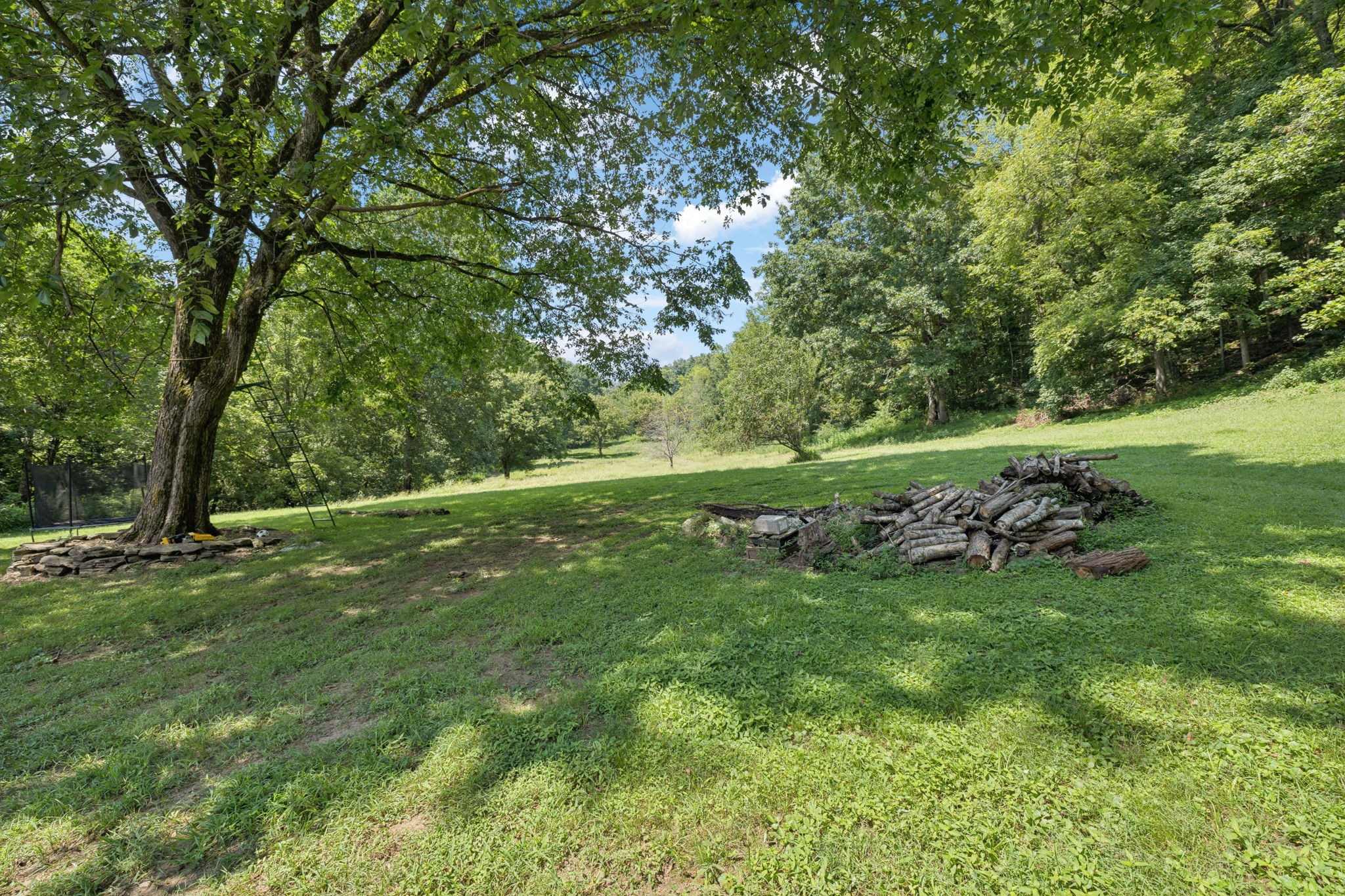 167 Green Hill Road Pleasant Shade, TN 37145 - Photo 5 of 43 a view of a field with a tree