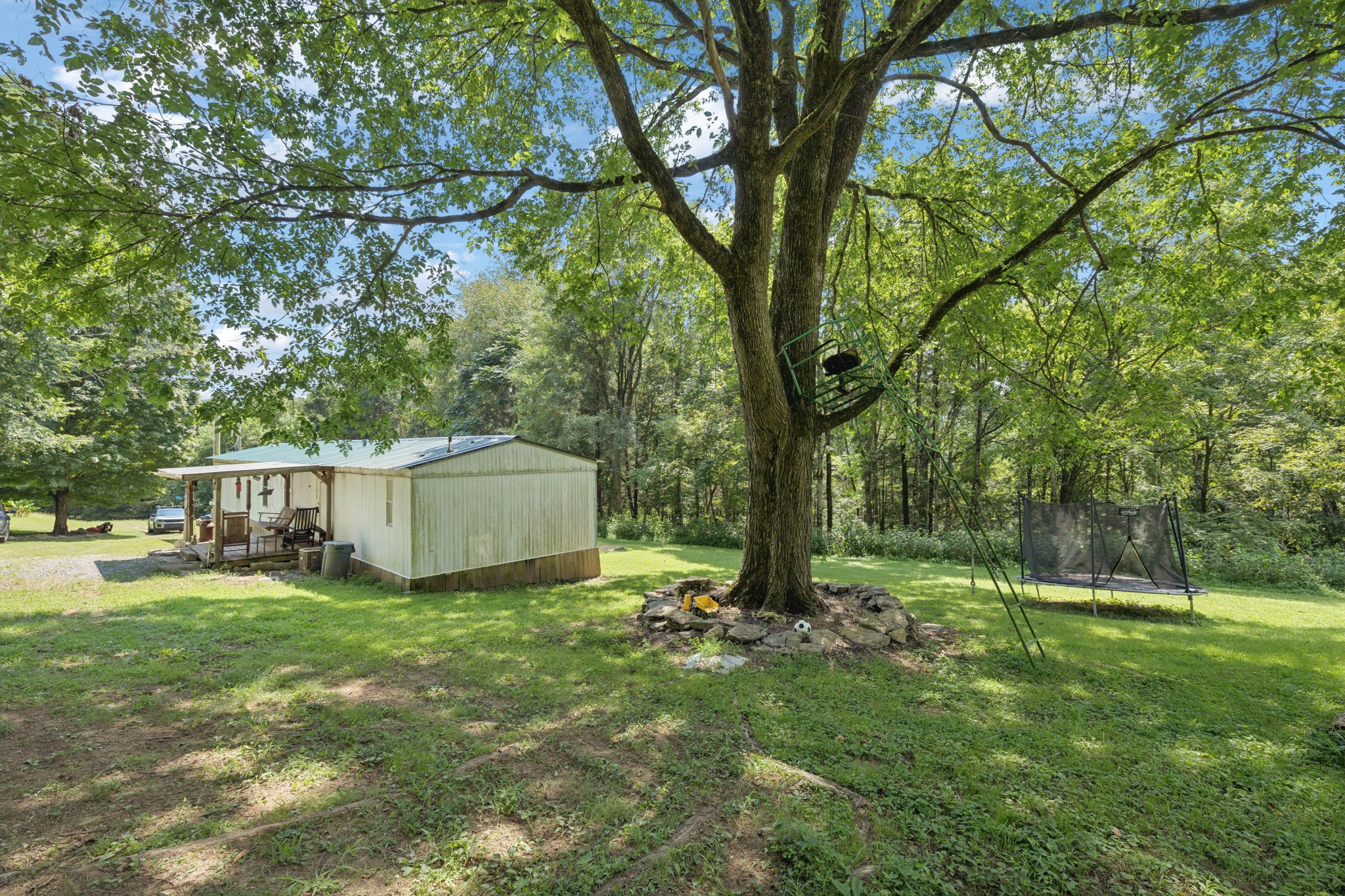 167 Green Hill Road Pleasant Shade, TN 37145 - Photo 7 of 43 a view of a backyard with a small house and large trees