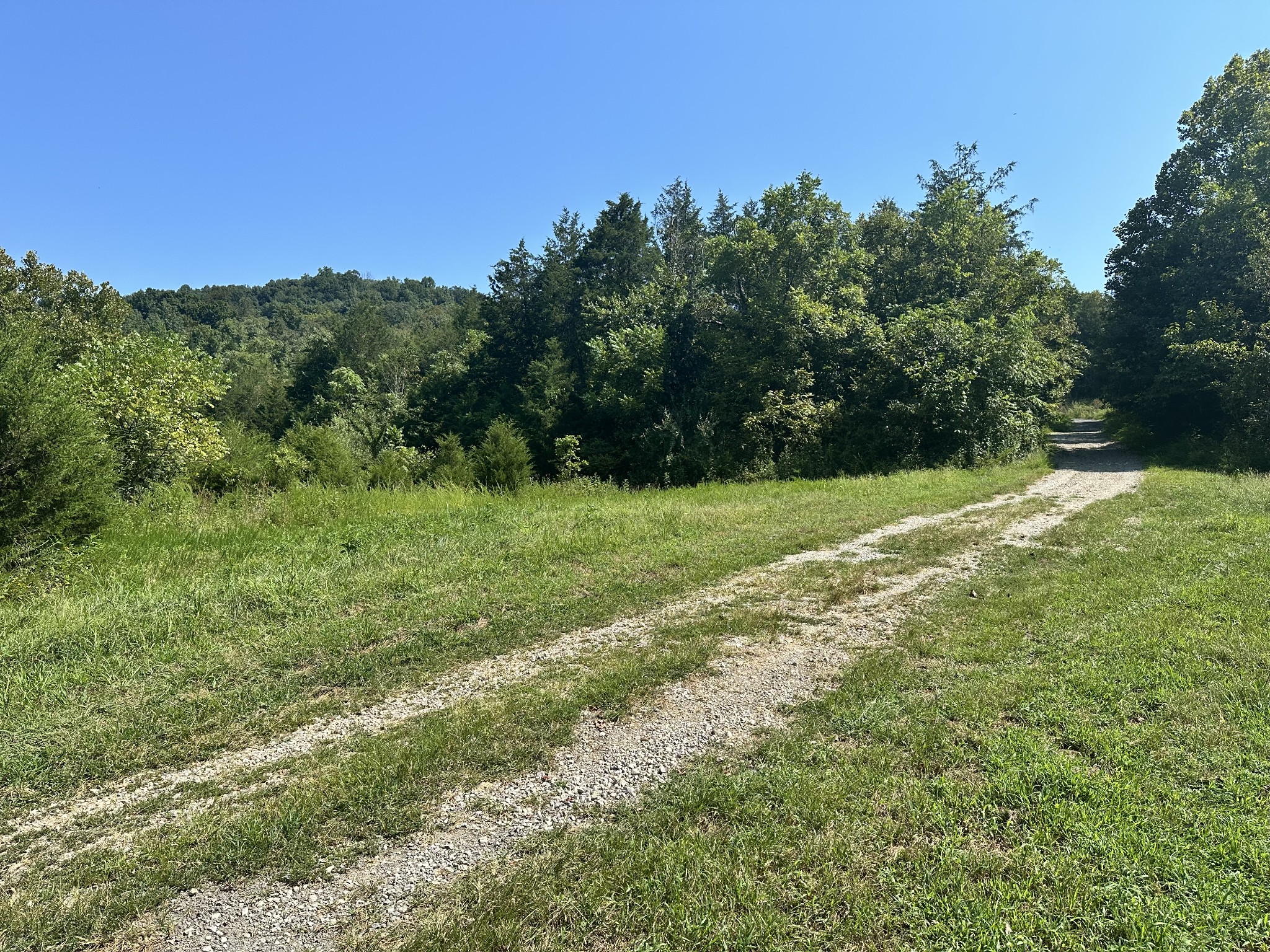 167 Green Hill Road Pleasant Shade, TN 37145 - Photo 9 of 43 a view of a field with a tree in the background