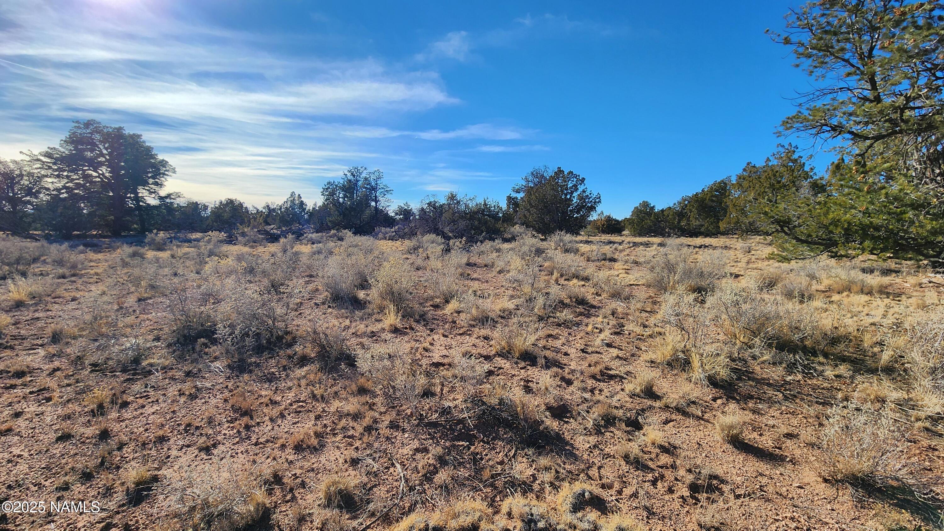 5535 Red Butte Road Williams, AZ 86046 - Photo 8 of 40 1000024121