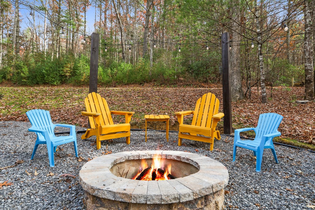 274 The Forest Road Blue Ridge, GA 30513 - Photo 3 of 59 Gallery Image 3