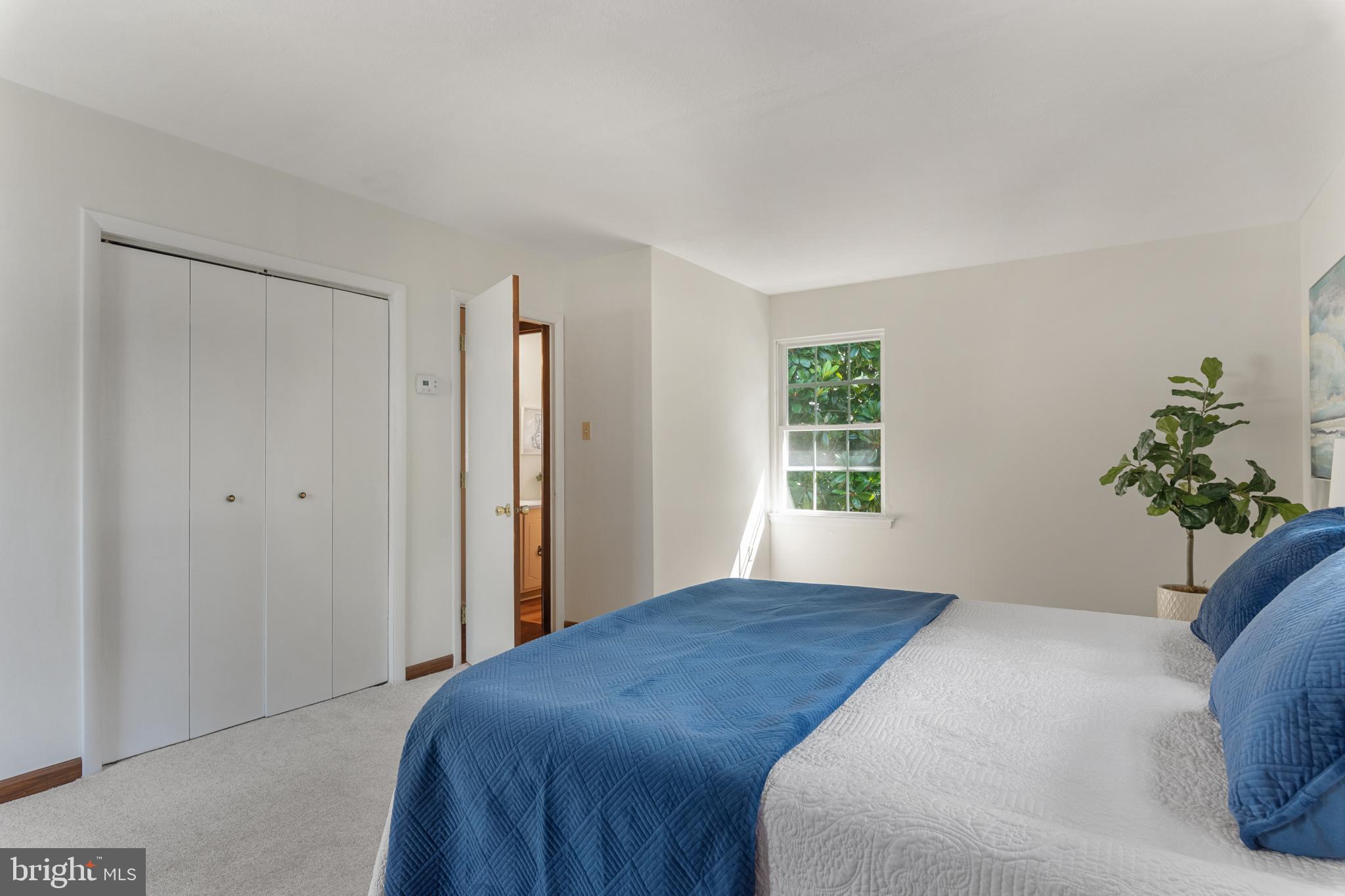 534 Londontown Road Edgewater, MD 21037 - Photo 22 of 59 a bedroom with a bed and a potted plant