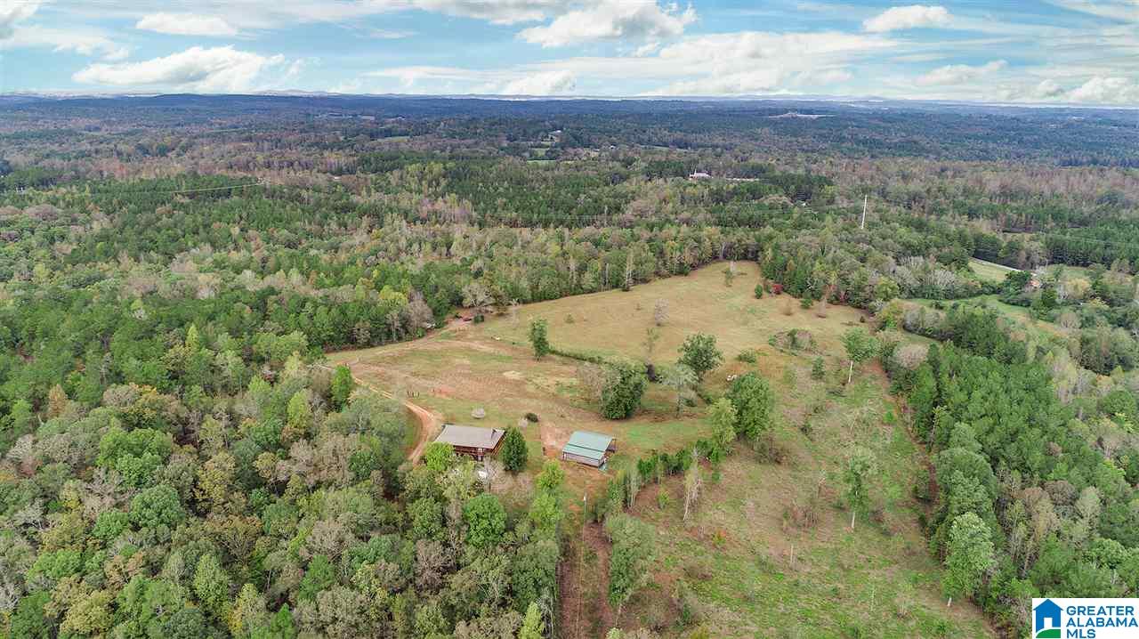 577 Wright Way Drive Wedowee, AL 36278 - Photo 25 of 39