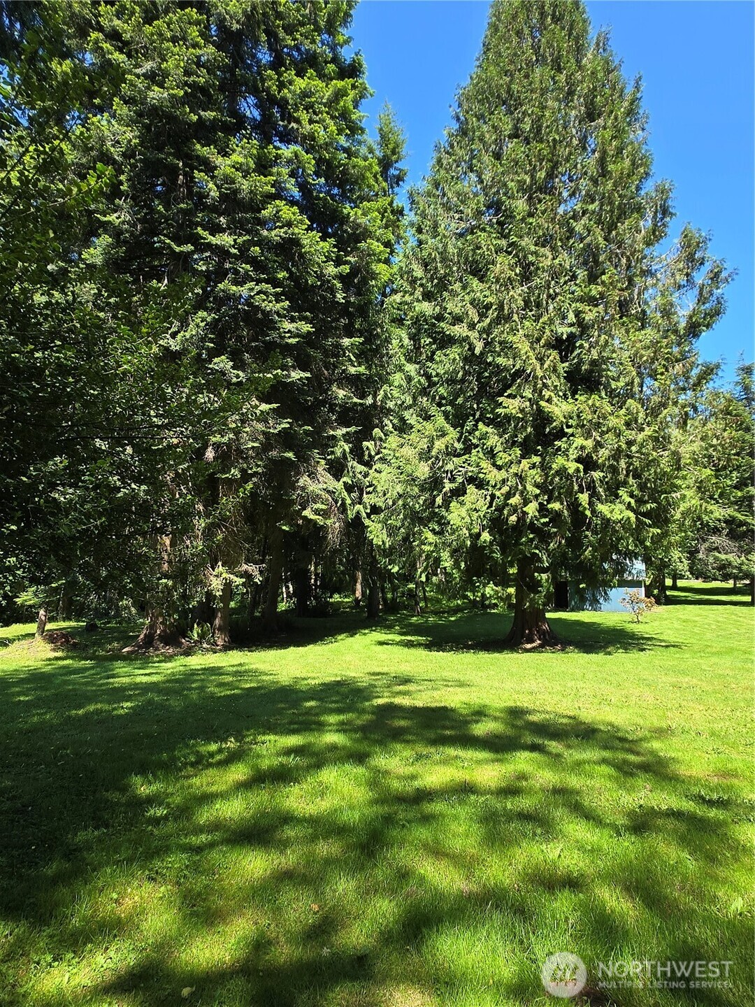 147 Tara Lane Vader, WA 98593 - Photo 25 of 38