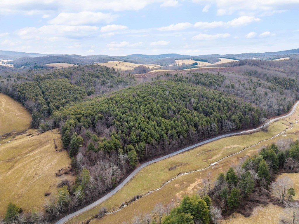 1055 Epperly Mill Road Southwest, Unit 185 & 186 Floyd, VA 24091 - Photo 6 of 31 Gallery Image 6
