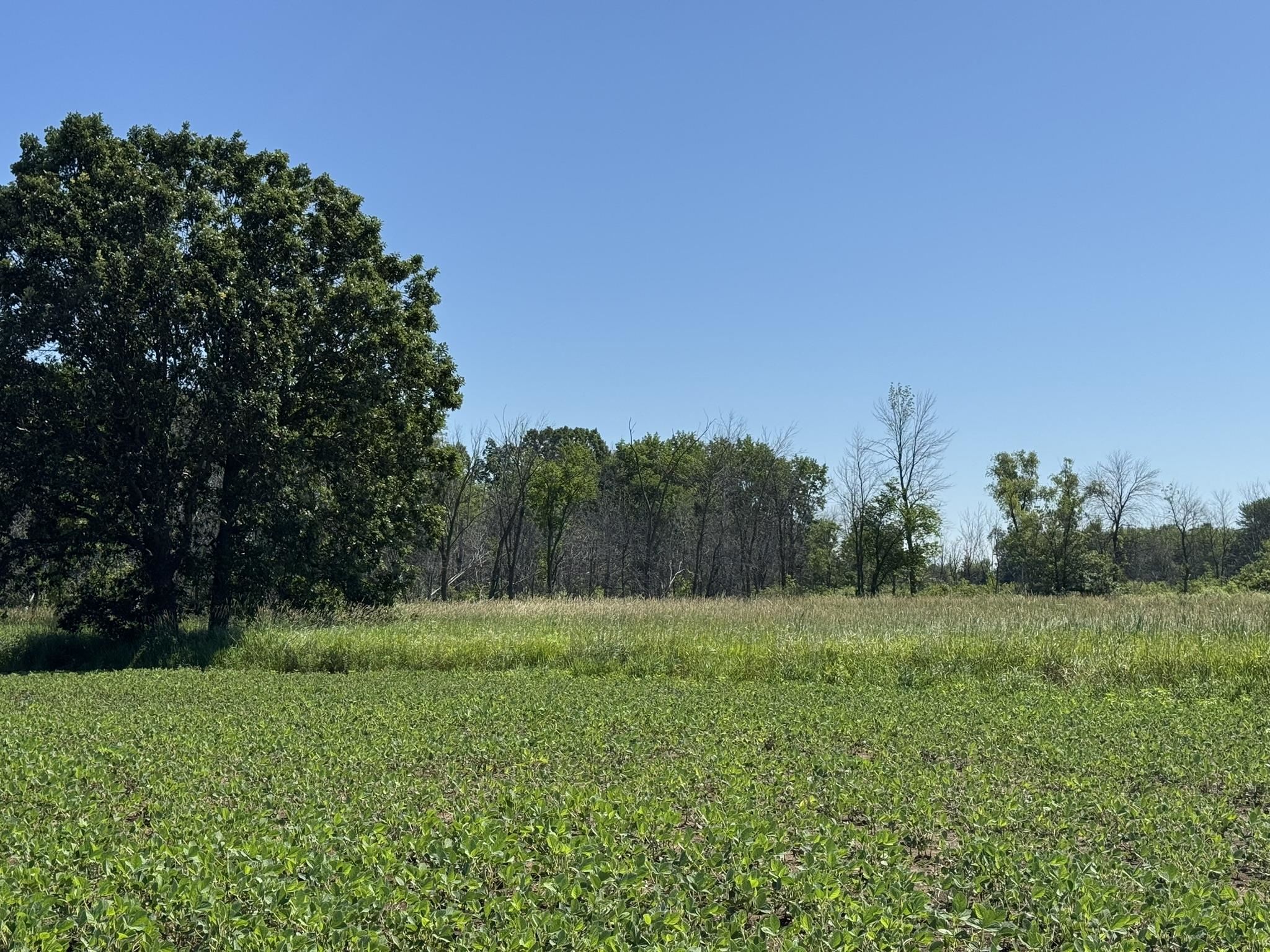 Quigley Road Winneconne, WI 54986 - Photo 1 of 1 Gallery Image 1