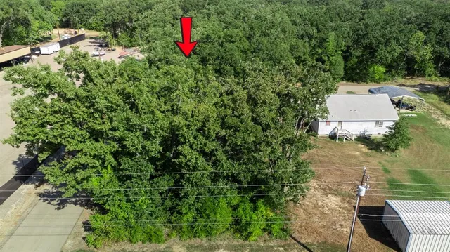 a view of a backyard with plants and a yard
