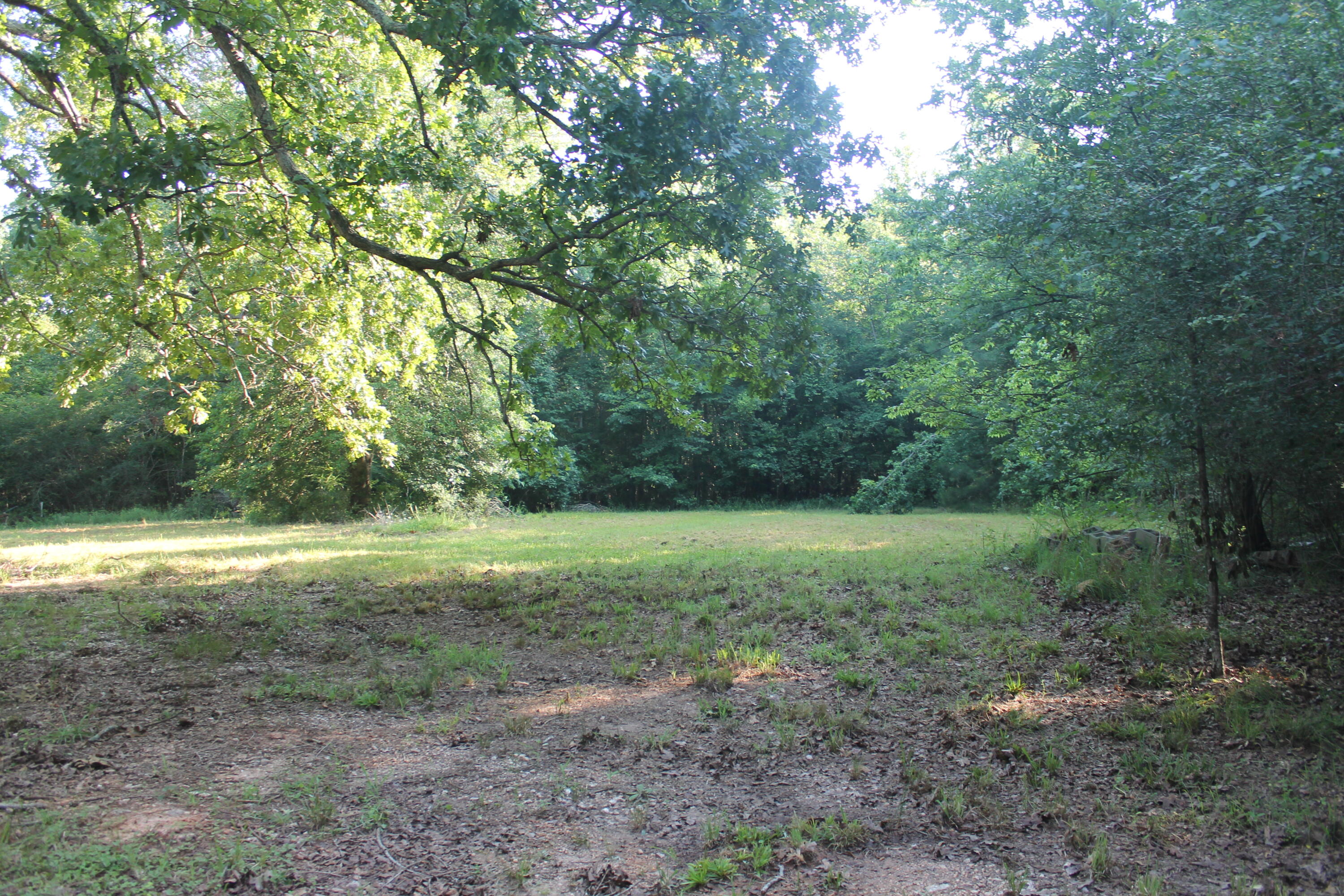 1200 B Highway McCormick, SC 29835 - Photo 7 of 11 a view of outdoor space and yard