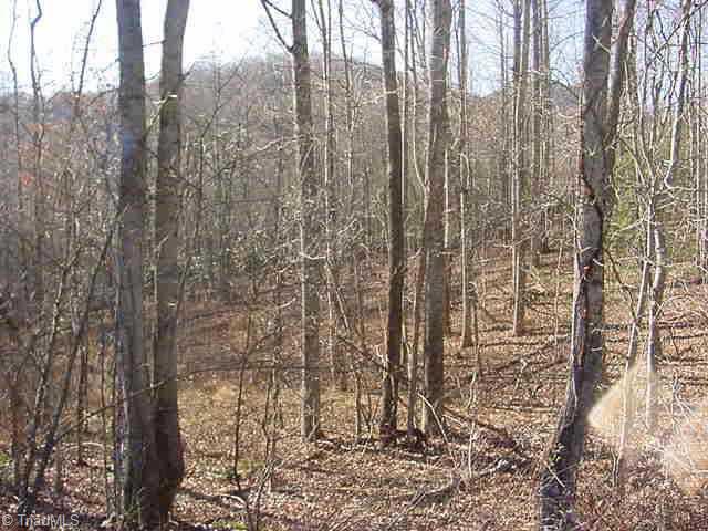 0 Walnut Ridge Road Sparta, NC 28675 - Photo 2 of 4 Other.