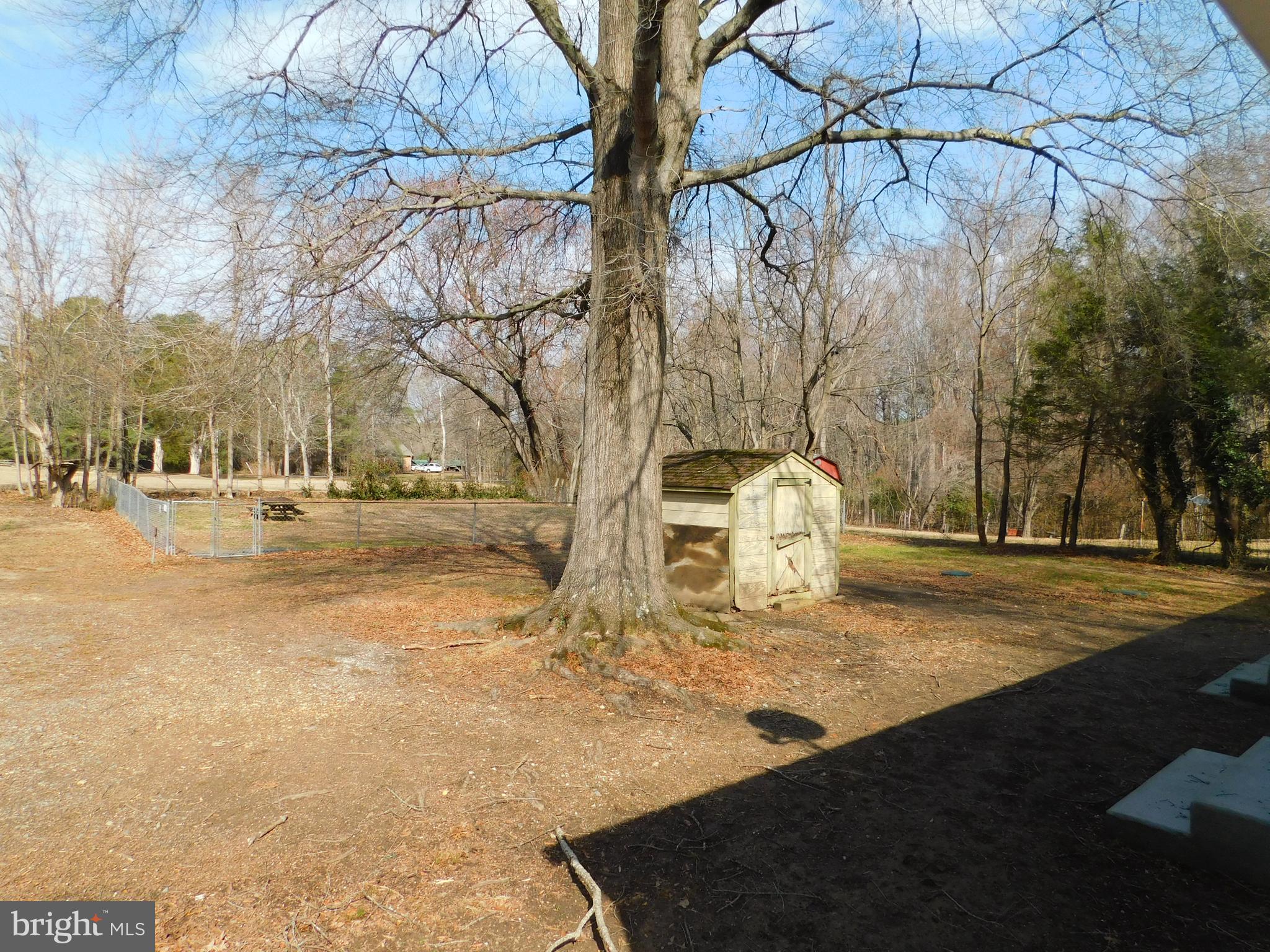 10374 Rectory Lane King George, VA 22485 - Photo 20 of 25 Back Yard and Shed
