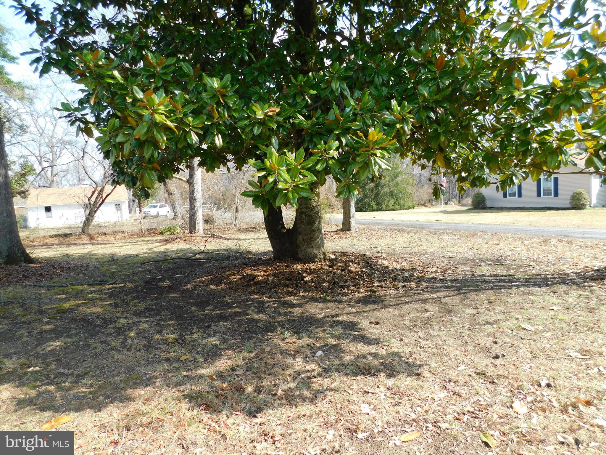 10374 Rectory Lane King George, VA 22485 - Photo 24 of 25 Front Yard