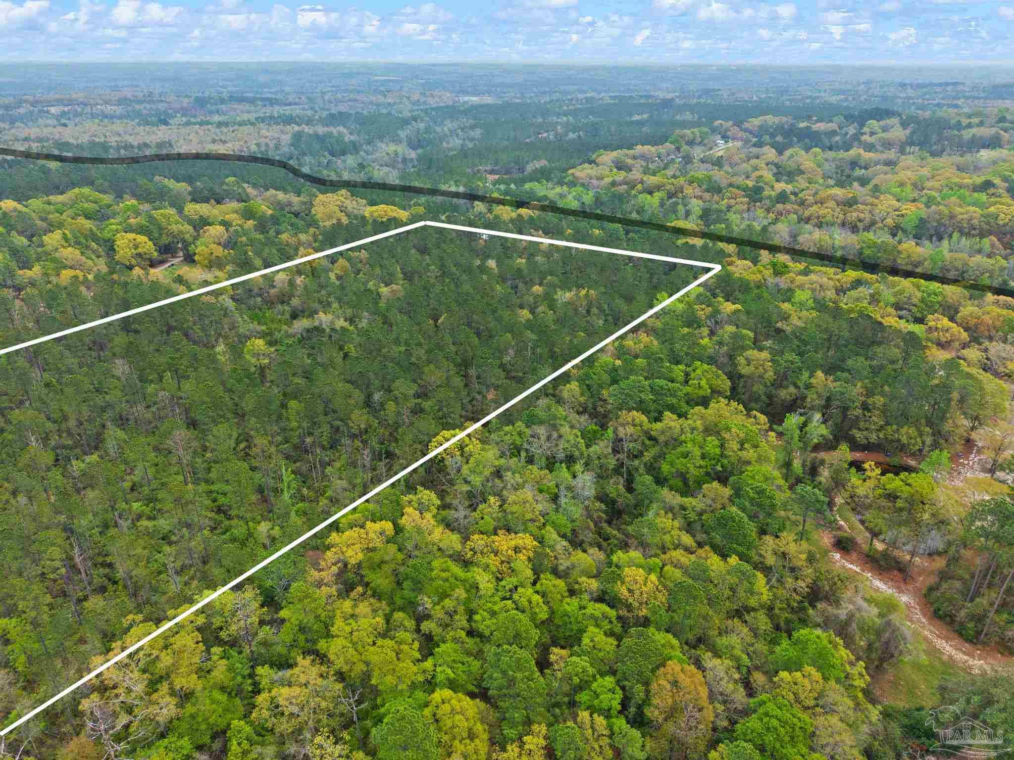 0 Tom Shivers Road Flomaton, AL 36441 - Photo 11 of 23