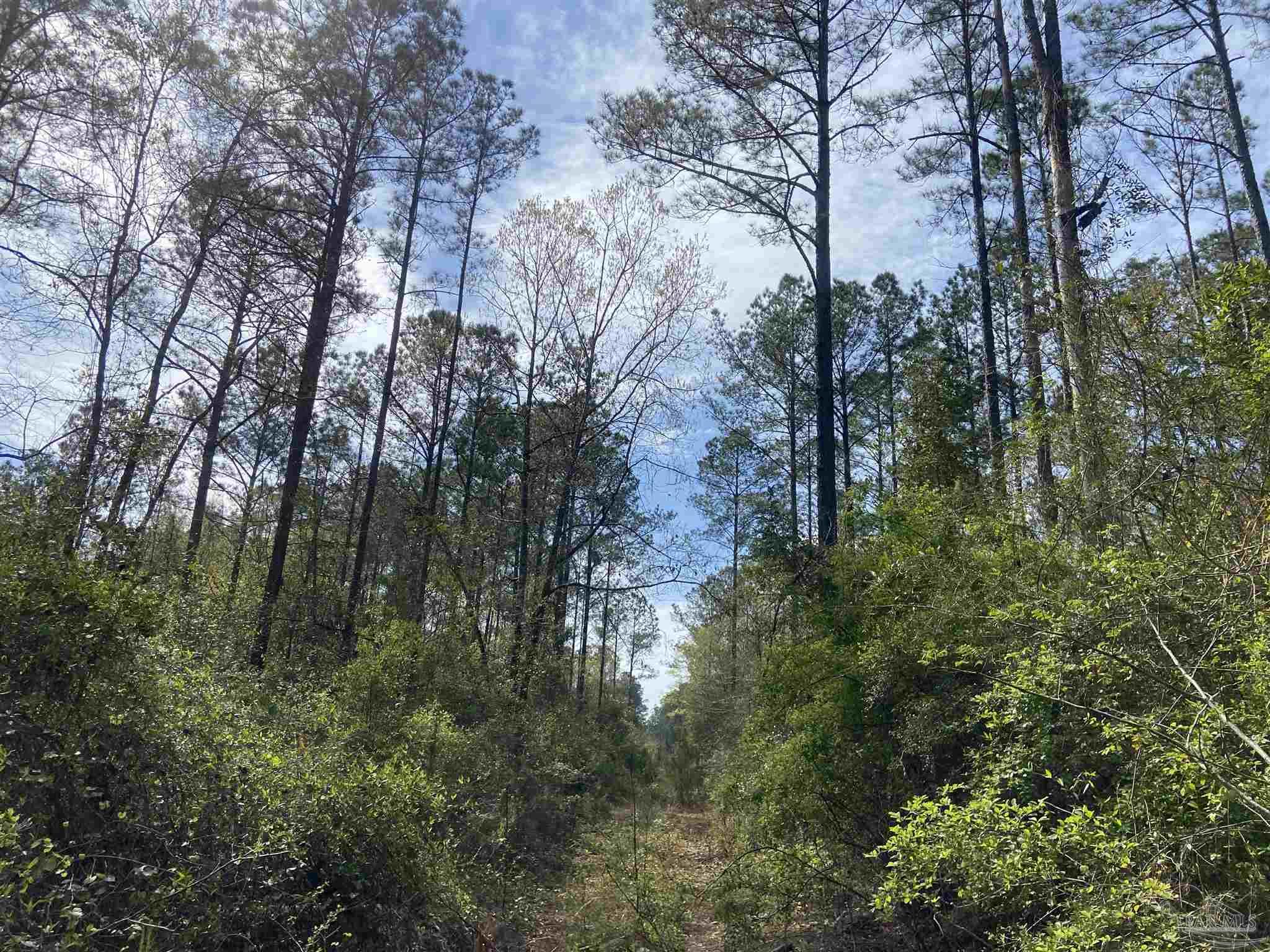0 Tom Shivers Road Flomaton, AL 36441 - Photo 16 of 23