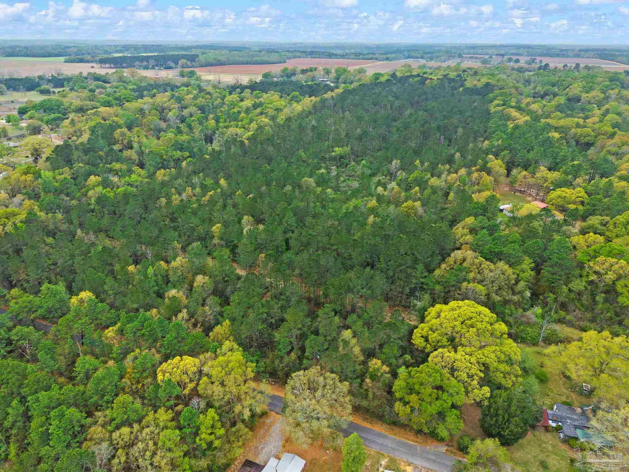 0 Tom Shivers Road Flomaton, AL 36441 - Photo 18 of 23
