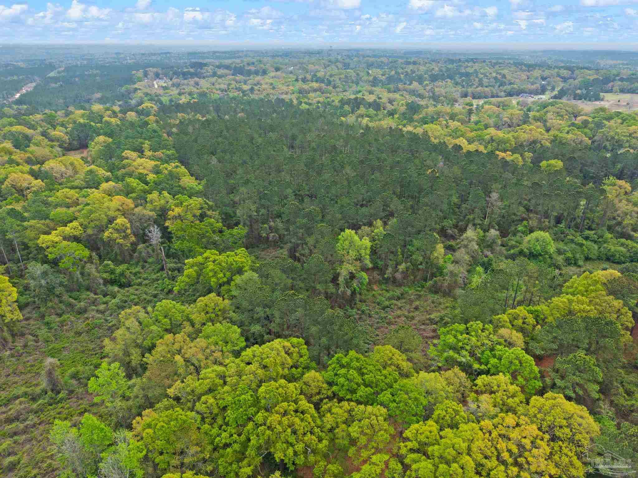 0 Tom Shivers Road Flomaton, AL 36441 - Photo 19 of 23
