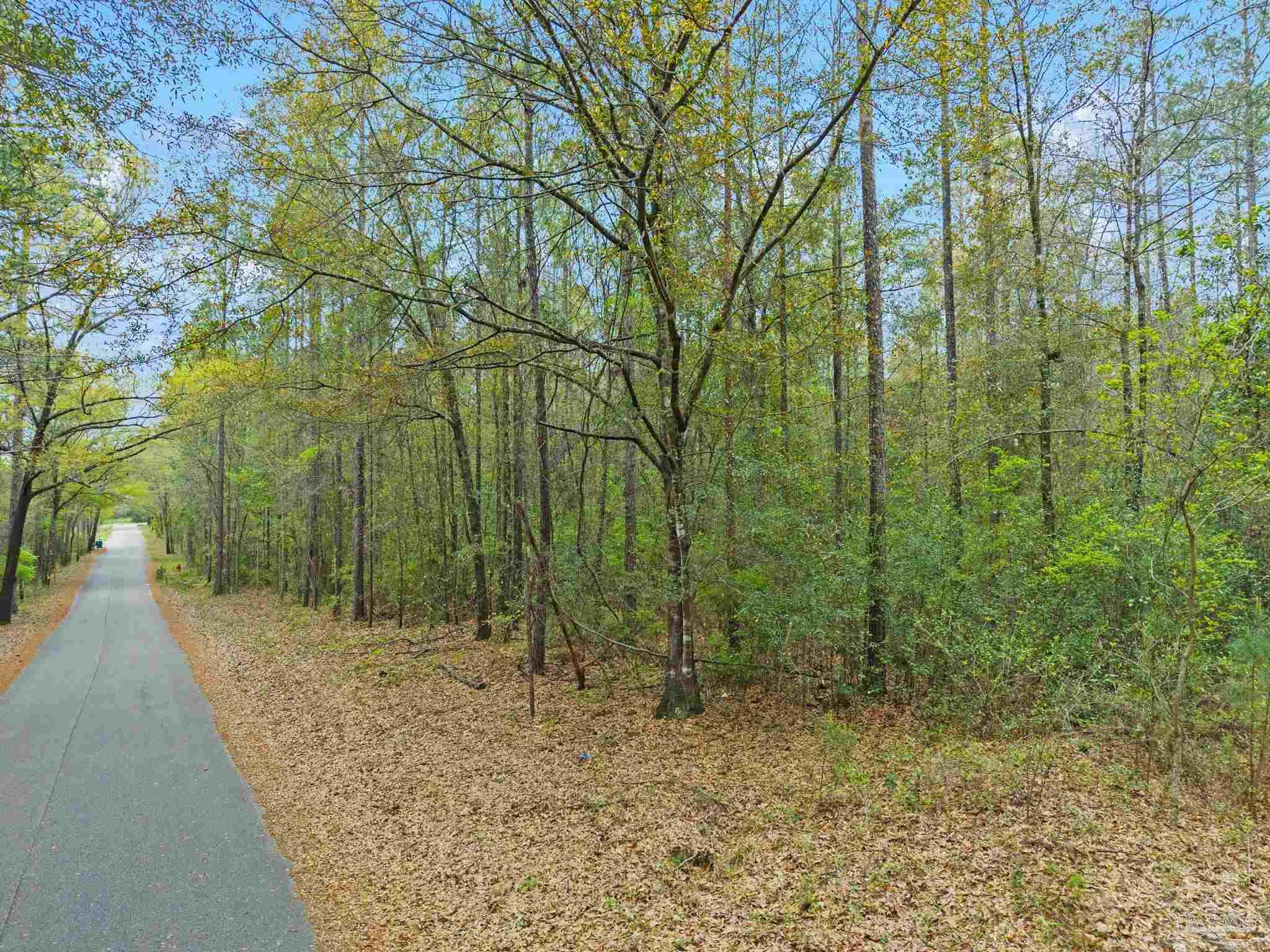 0 Tom Shivers Road Flomaton, AL 36441 - Photo 2 of 23