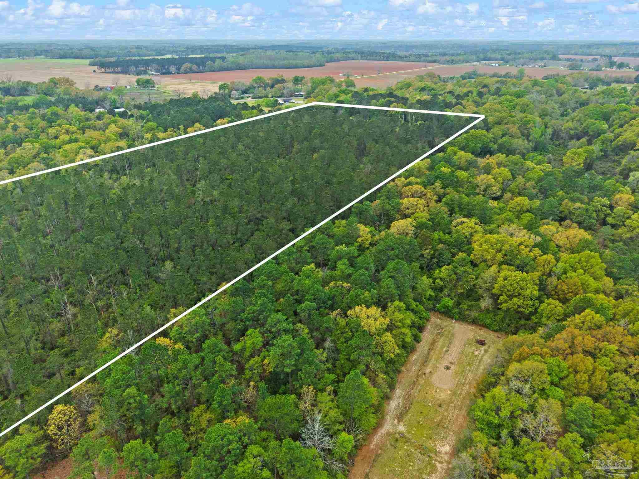 0 Tom Shivers Road Flomaton, AL 36441 - Photo 6 of 23