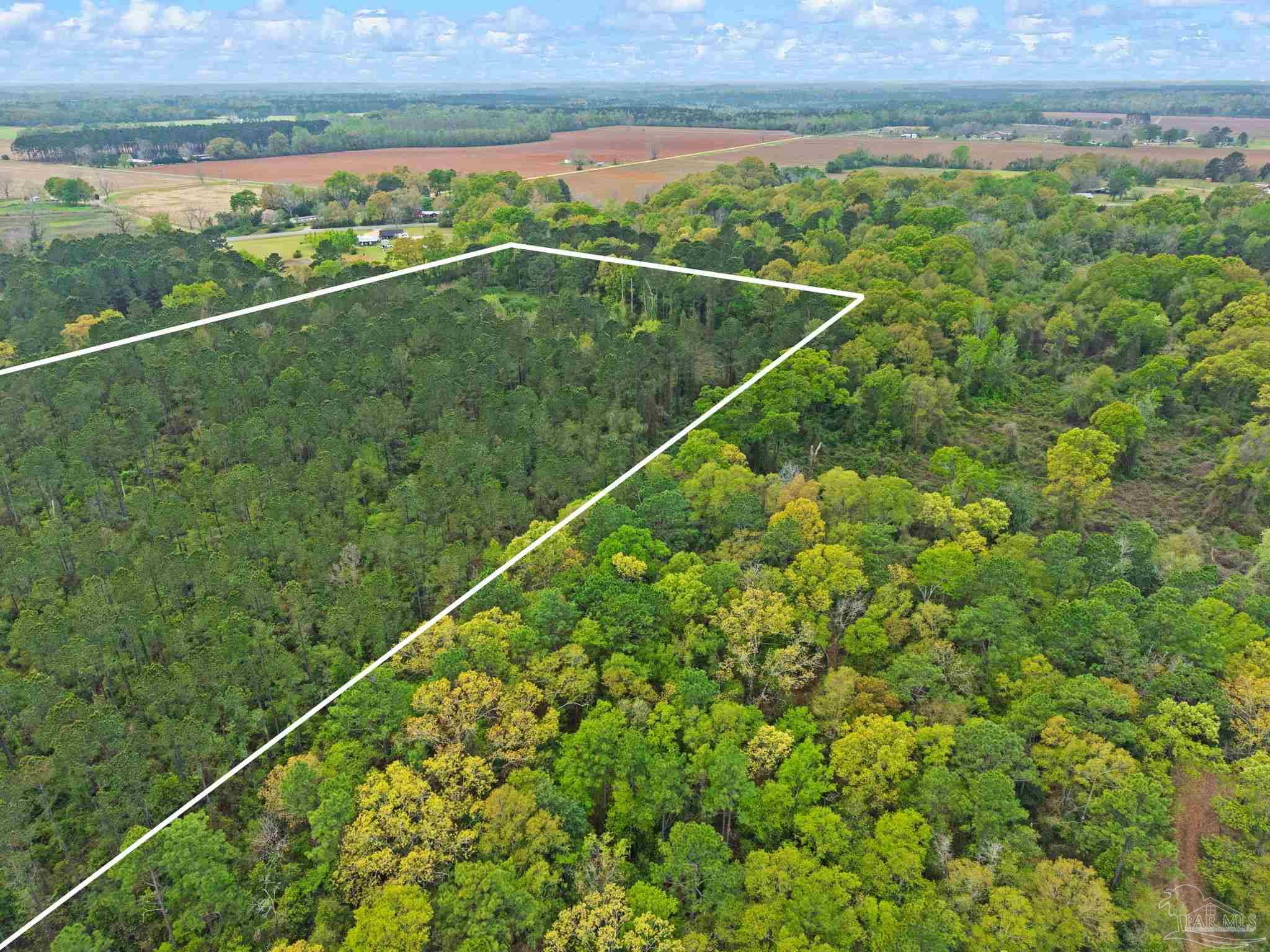 0 Tom Shivers Road Flomaton, AL 36441 - Photo 7 of 23