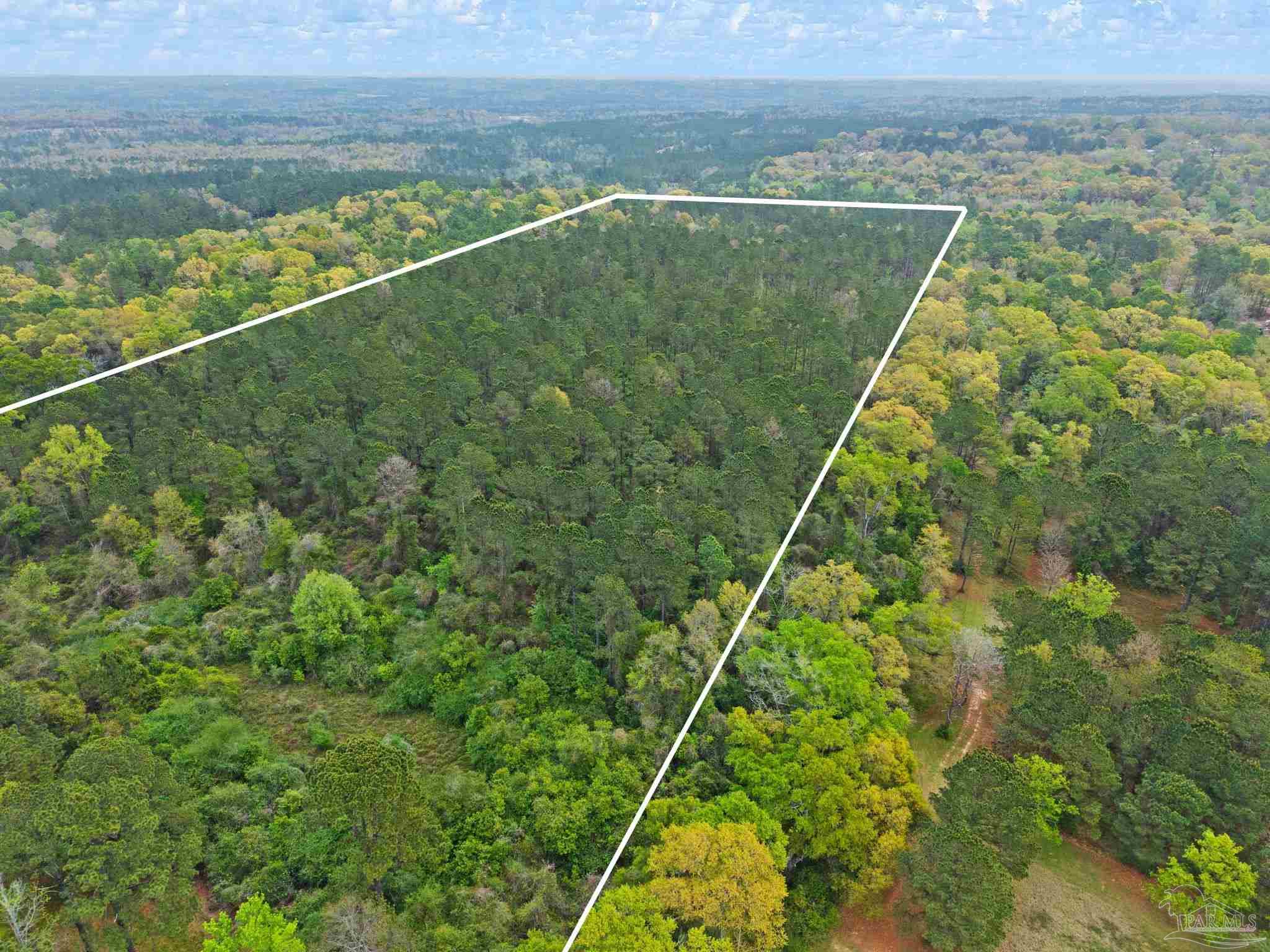 0 Tom Shivers Road Flomaton, AL 36441 - Photo 10 of 23