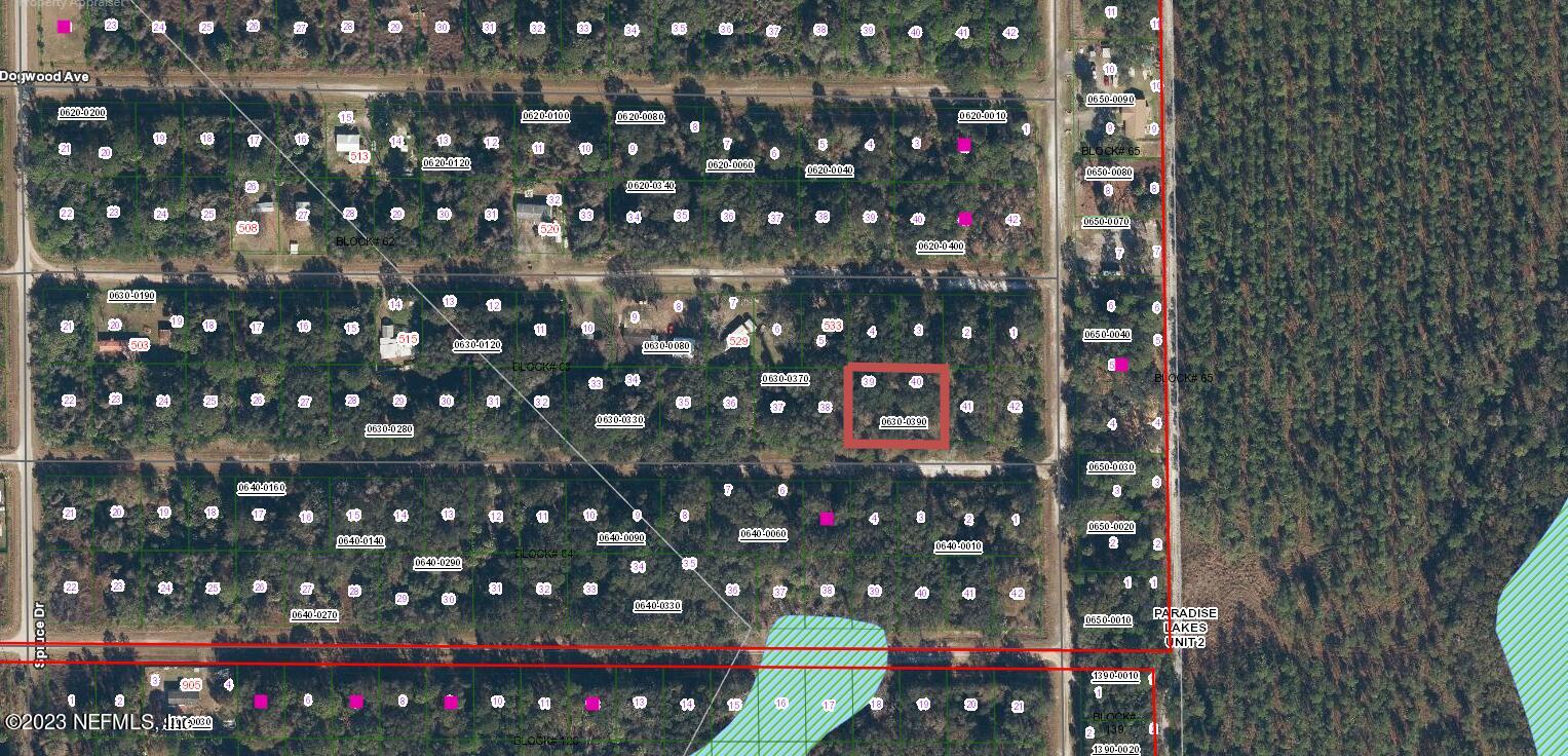 534 Birch Boulevard Georgetown, FL 32139 - Photo 2 of 2 Screenshot (183)