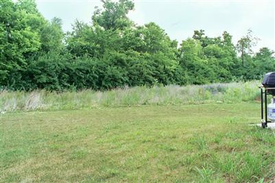 145 Strawberry Fields Road Lexington, KY 40516 - Photo 3 of 12 Photo 3