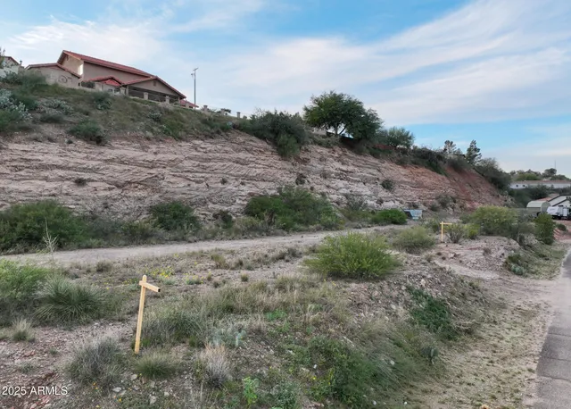 a big yard with lots of green space
