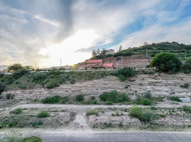 a view of a dry yard with trees