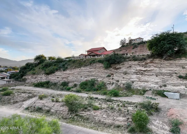 a view of a dry yard with lots of green space