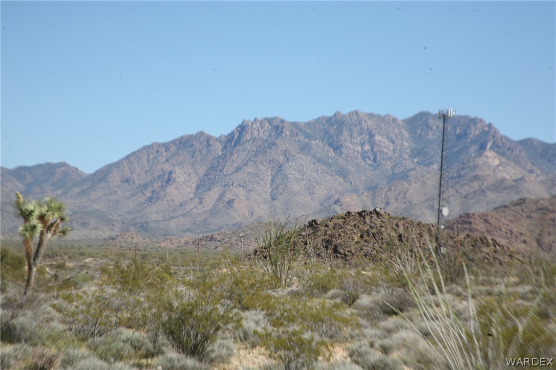 208-24-134 Cameron Road Yucca, AZ 86438 - Photo 3 of 86