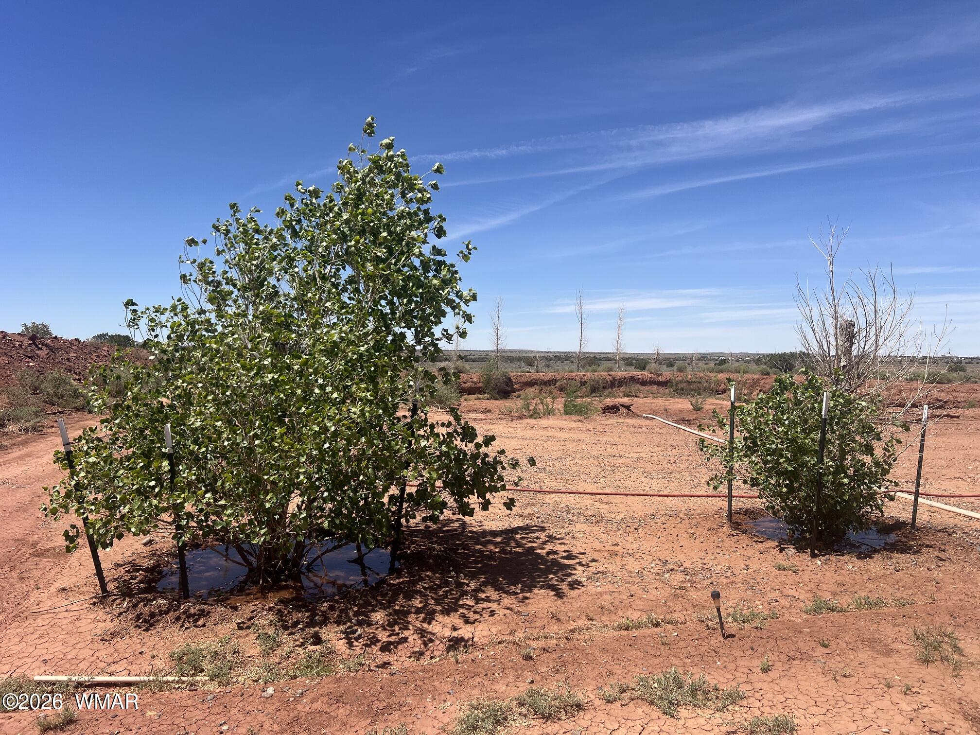 5021 Rae Trail Snowflake, AZ 85937 - Photo 15 of 23 a view of a yard