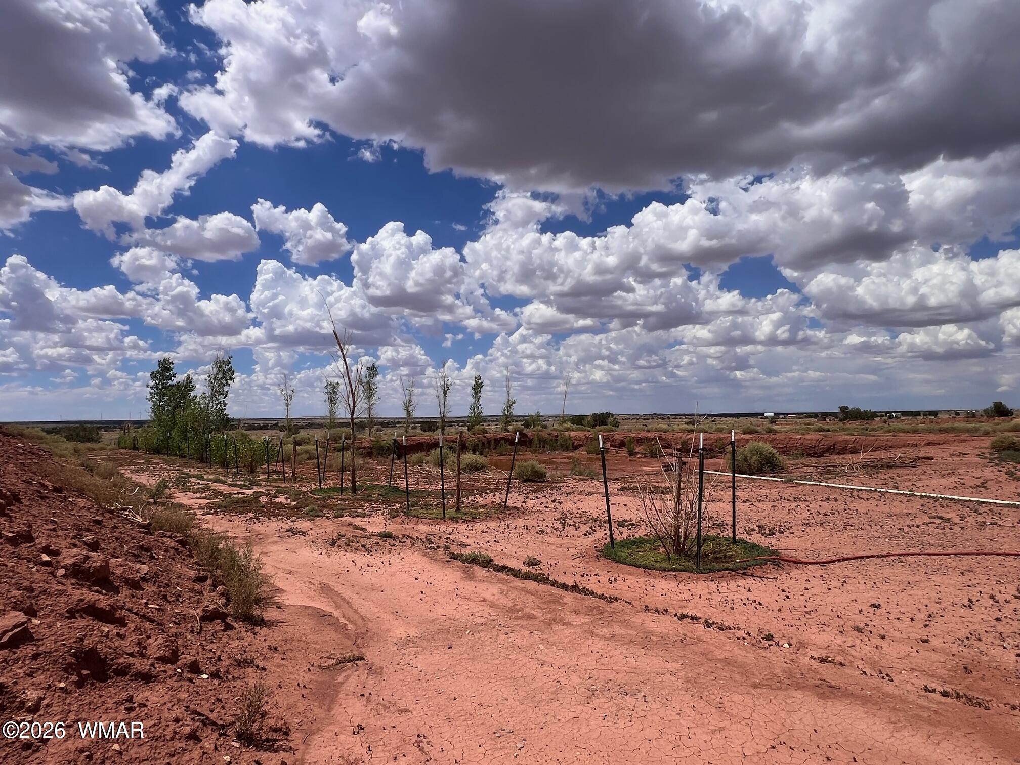 5021 Rae Trail Snowflake, AZ 85937 - Photo 17 of 23 a view of a yard with wooden fence