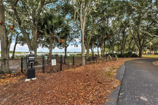 a view of a pathway with a bench in a garden