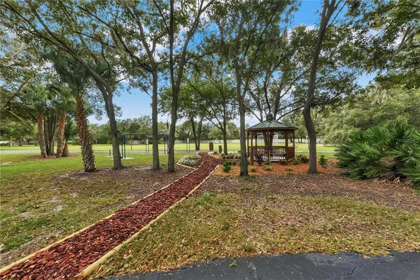 a view of a park with large trees