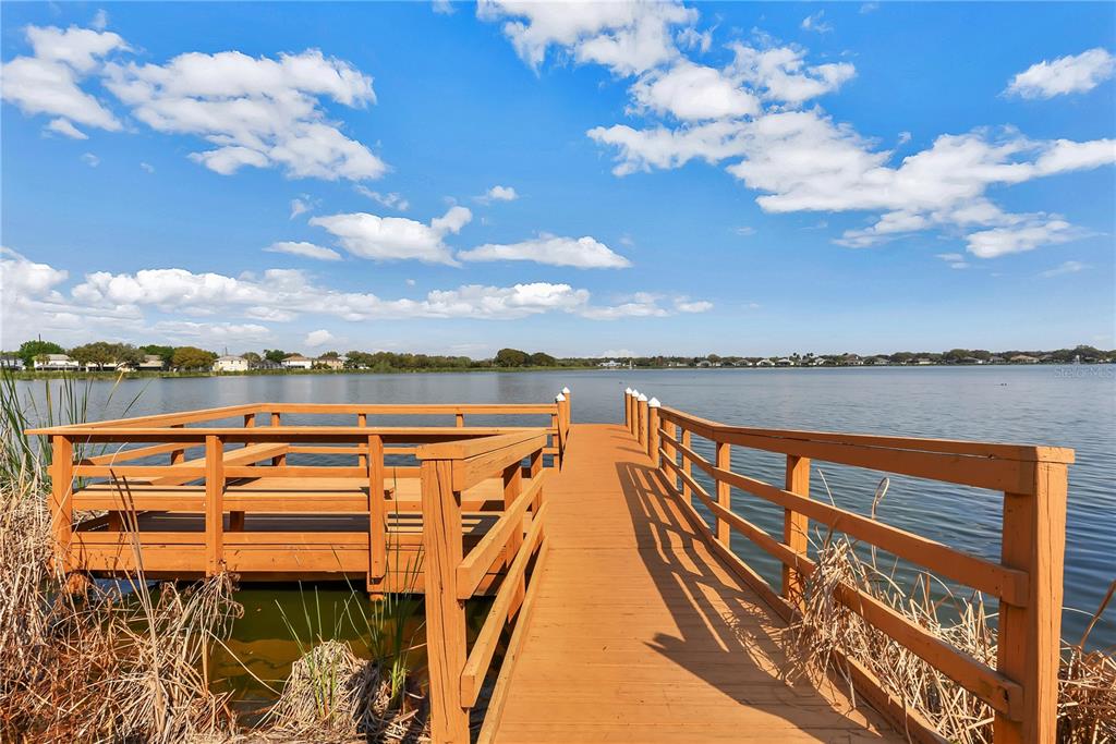 6650 Thackston Drive Riverview, FL 33578 - Photo 57 of 59