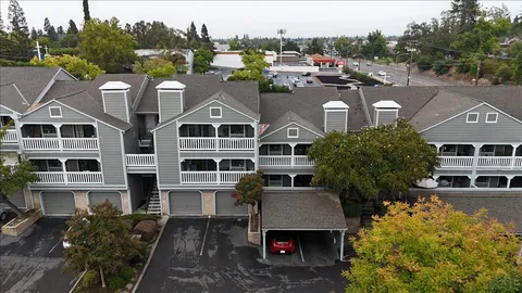 a view of a house with a garden