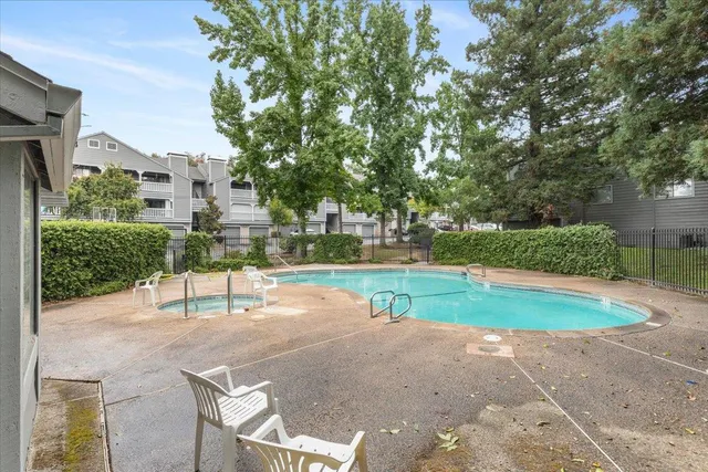 a view of a park with plants and trees