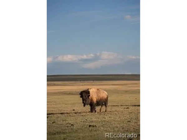 $7,850,000 | 33185 9th, Hartsel, CO 80449