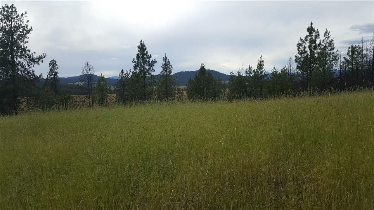 Lot A Carpenter Road Fruitland, WA 99129 - Photo 1 of 16 Gallery Image 1