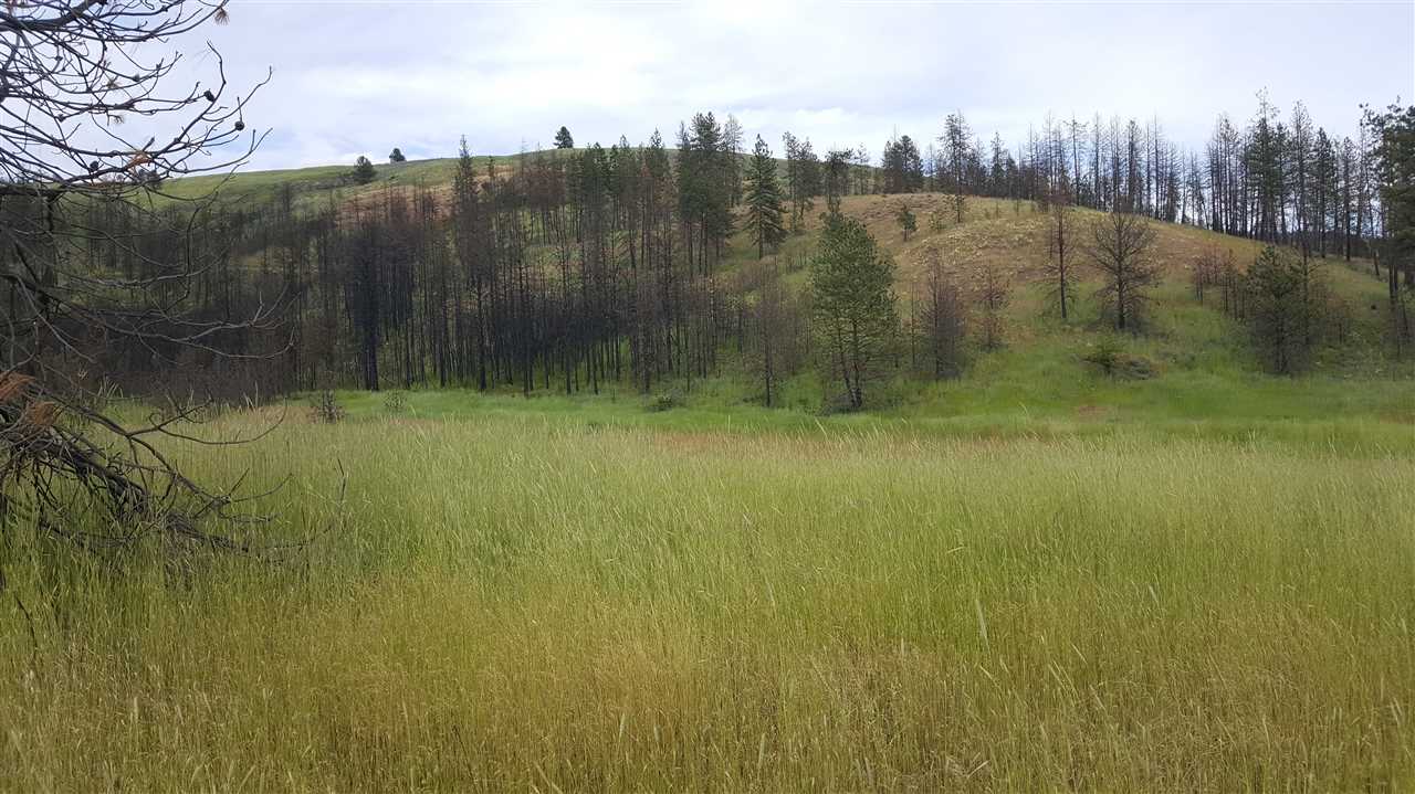 Lot A Carpenter Road Fruitland, WA 99129 - Photo 2 of 16 Gallery Image 2