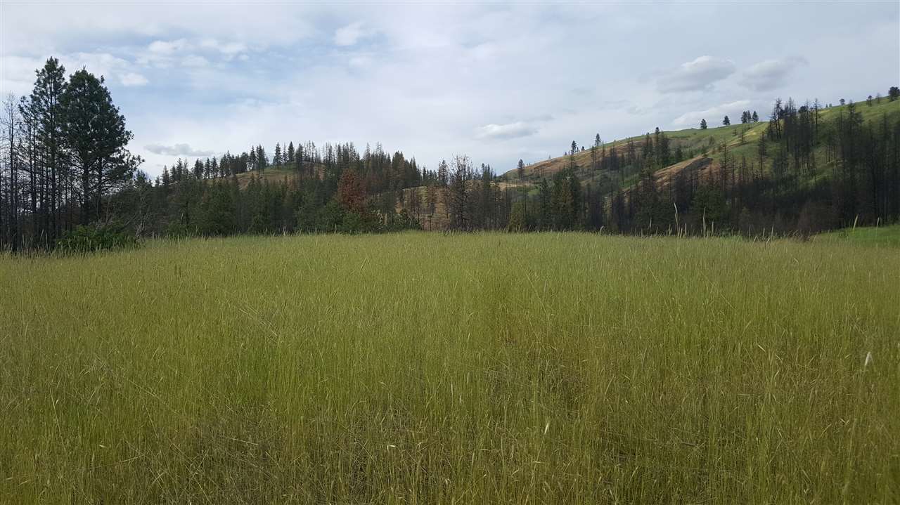 Lot A Carpenter Road Fruitland, WA 99129 - Photo 11 of 16 Gallery Image 11