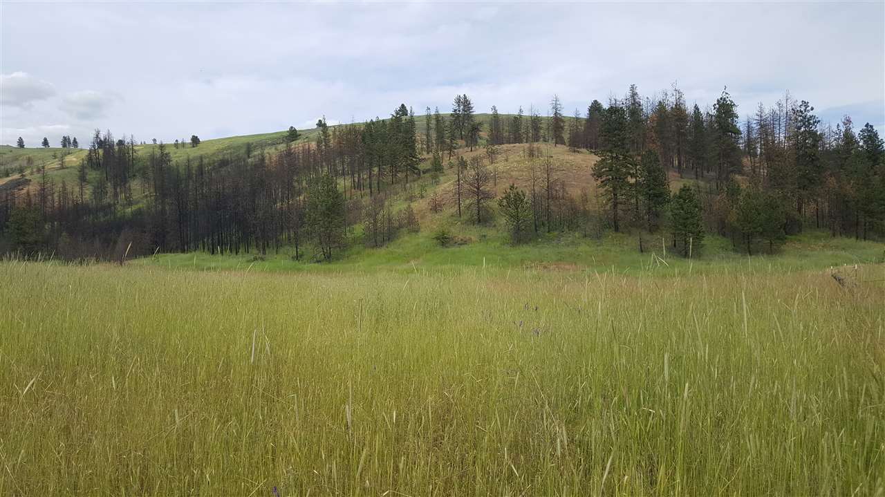 Lot A Carpenter Road Fruitland, WA 99129 - Photo 12 of 16 Gallery Image 12