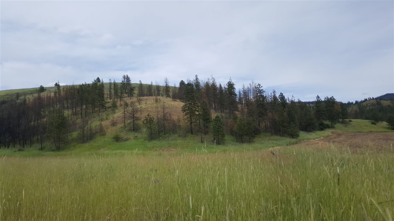 Lot A Carpenter Road Fruitland, WA 99129 - Photo 13 of 16 Gallery Image 13