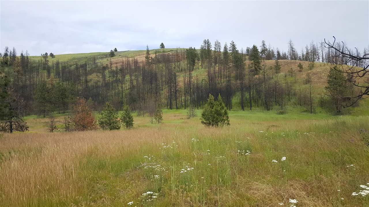 Lot A Carpenter Road Fruitland, WA 99129 - Photo 14 of 16 Gallery Image 14