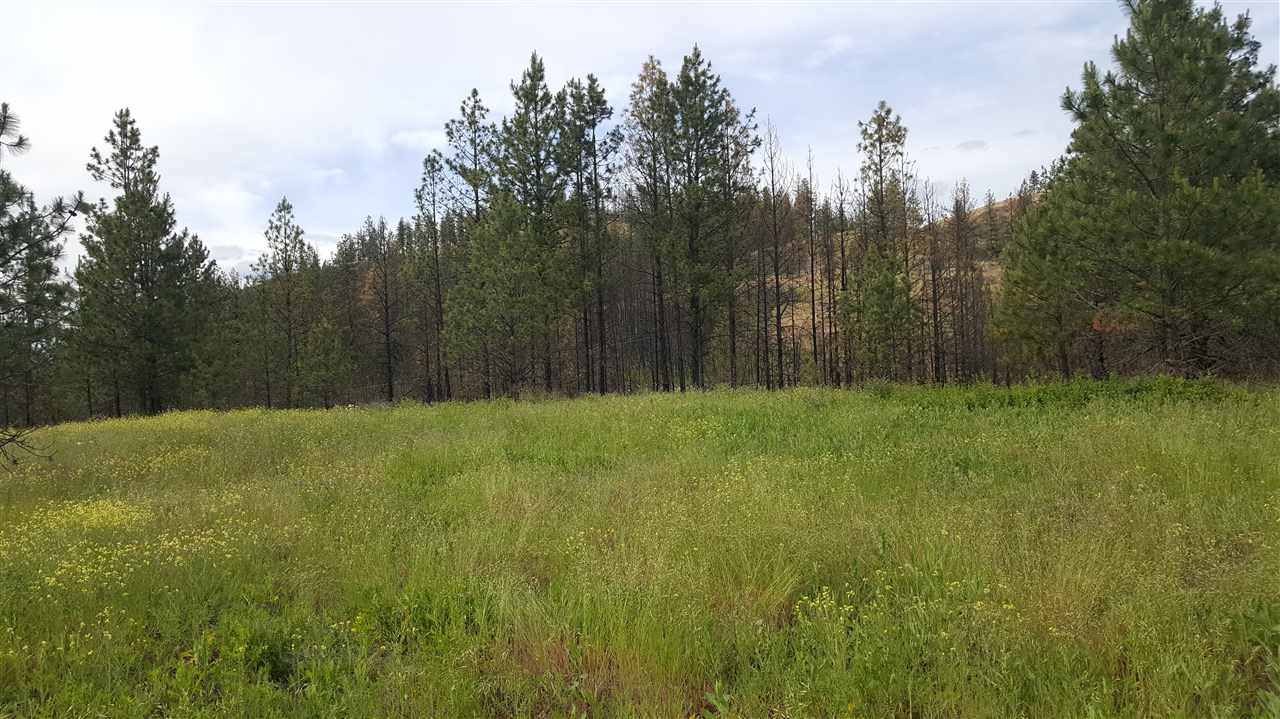Lot A Carpenter Road Fruitland, WA 99129 - Photo 15 of 16 Gallery Image 15