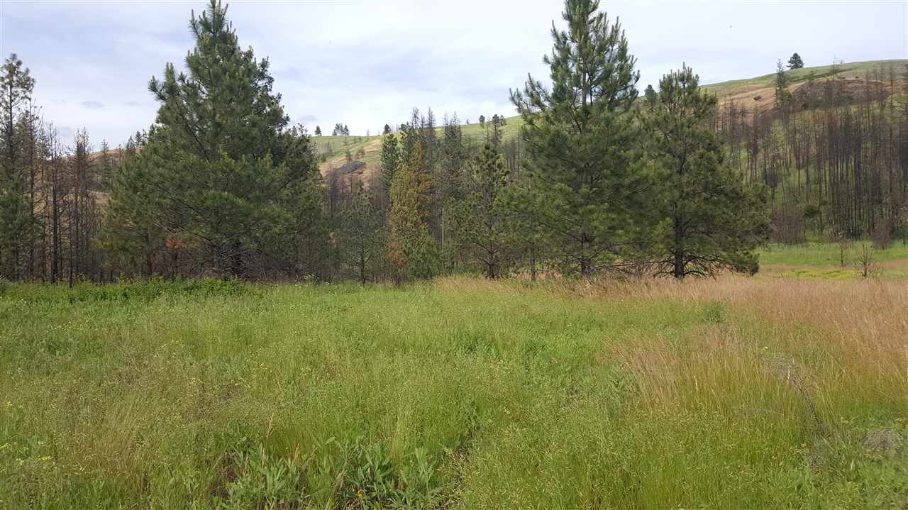 Lot A Carpenter Road Fruitland, WA 99129 - Photo 16 of 16 Gallery Image 16