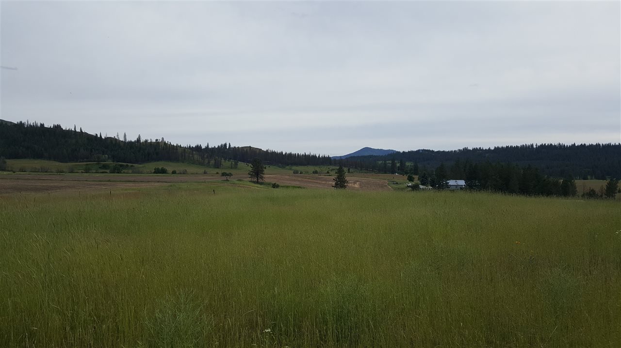 Lot A Carpenter Road Fruitland, WA 99129 - Photo 3 of 16 Gallery Image 3